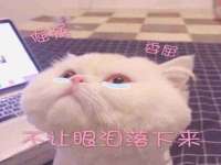 杭州筑言网络科技有限公司