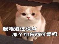 杭州筑言网络科技有限公司