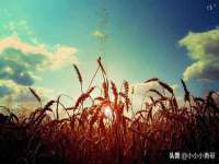 杭州筑言网络科技有限公司