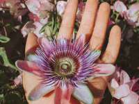 杭州筑言网络科技有限公司