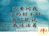 杭州筑言网络科技有限公司