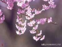 杭州筑言网络科技有限公司