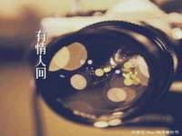 杭州筑言网络科技有限公司