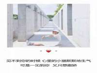 杭州筑言网络科技有限公司