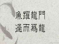 杭州筑言网络科技有限公司