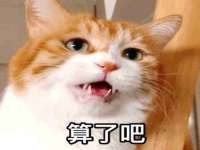 杭州筑言网络科技有限公司