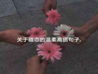 杭州筑言网络科技有限公司