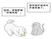 杭州筑言网络科技有限公司