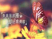 杭州筑言网络科技有限公司