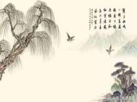 杭州筑言网络科技有限公司