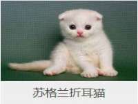 杭州筑言网络科技有限公司