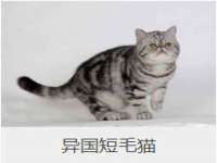 杭州筑言网络科技有限公司