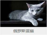 杭州筑言网络科技有限公司