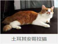 杭州筑言网络科技有限公司