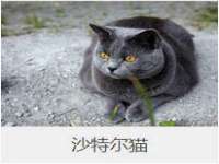 杭州筑言网络科技有限公司