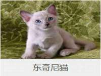 杭州筑言网络科技有限公司