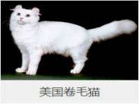杭州筑言网络科技有限公司