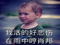 杭州筑言网络科技有限公司