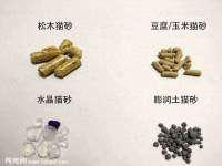 杭州筑言网络科技有限公司