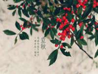 杭州筑言网络科技有限公司