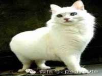 杭州筑言网络科技有限公司