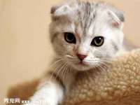杭州筑言网络科技有限公司