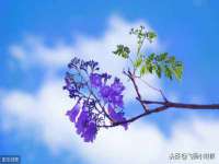杭州筑言网络科技有限公司