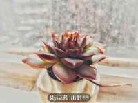 杭州筑言网络科技有限公司