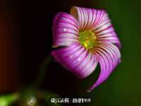 杭州筑言网络科技有限公司