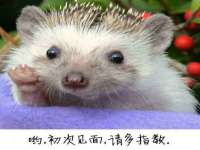 杭州筑言网络科技有限公司