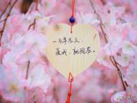 杭州筑言网络科技有限公司