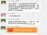 杭州筑言网络科技有限公司