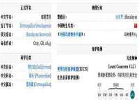 杭州筑言网络科技有限公司