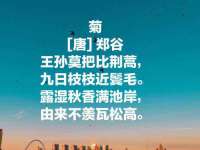 杭州筑言网络科技有限公司