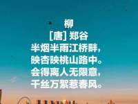 杭州筑言网络科技有限公司