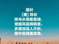 杭州筑言网络科技有限公司