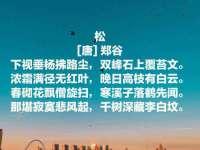 杭州筑言网络科技有限公司