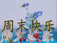 杭州筑言网络科技有限公司