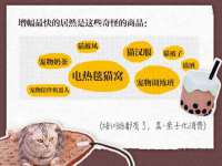 杭州筑言网络科技有限公司