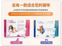 杭州筑言网络科技有限公司