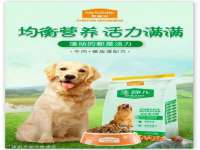 杭州筑言网络科技有限公司