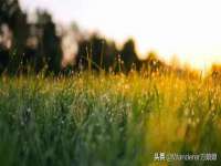 杭州筑言网络科技有限公司