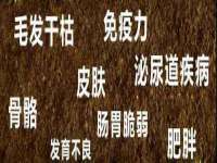 杭州筑言网络科技有限公司