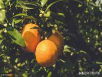 杭州筑言网络科技有限公司