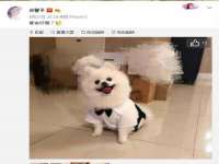 杭州筑言网络科技有限公司