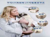 杭州筑言网络科技有限公司