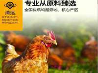 杭州筑言网络科技有限公司