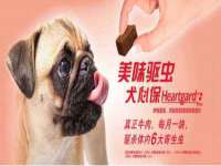 杭州筑言网络科技有限公司