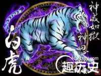 杭州筑言网络科技有限公司