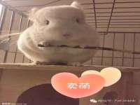 杭州筑言网络科技有限公司